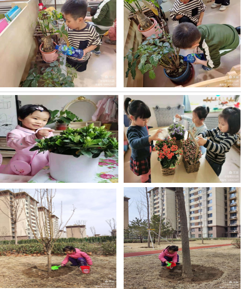 1656037170906395.png 無標題.png