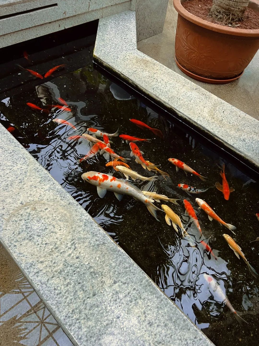 1671751150428704.jpg 1671751150428704.jpg